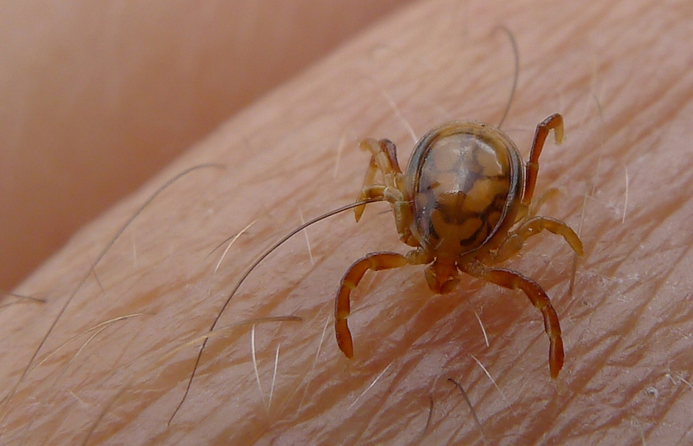 Foto: John Tann/CC BY 2.0