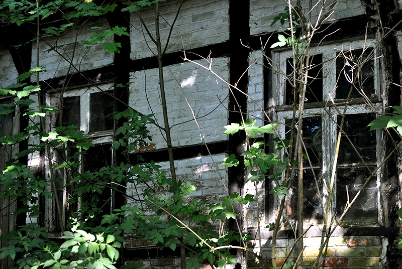 Foto: pixelio/Maret Hosemann