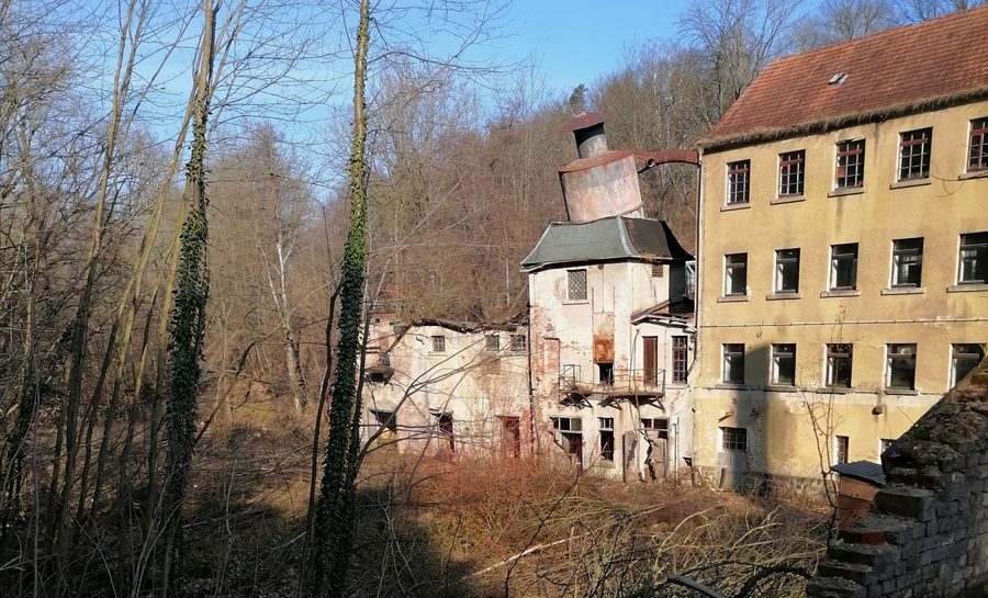 Foto: Archemontolle1/CC0