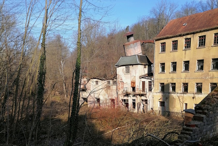 Foto: Archemontolle1/CC0