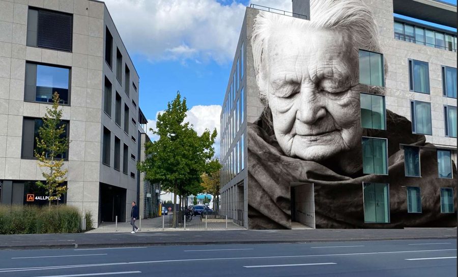 Foto: Detlef Güthenke