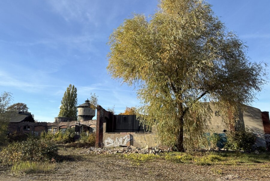 Foto: Vier-Tore-Stadt Neubrandenburg