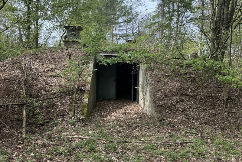 Foto: Stiftung Naturschutz Schleswig-Holstein