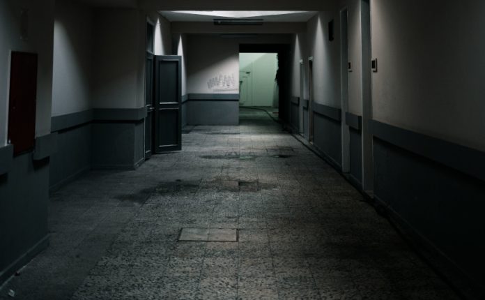 Foto: pexels.com/Ahmet Arıkaya